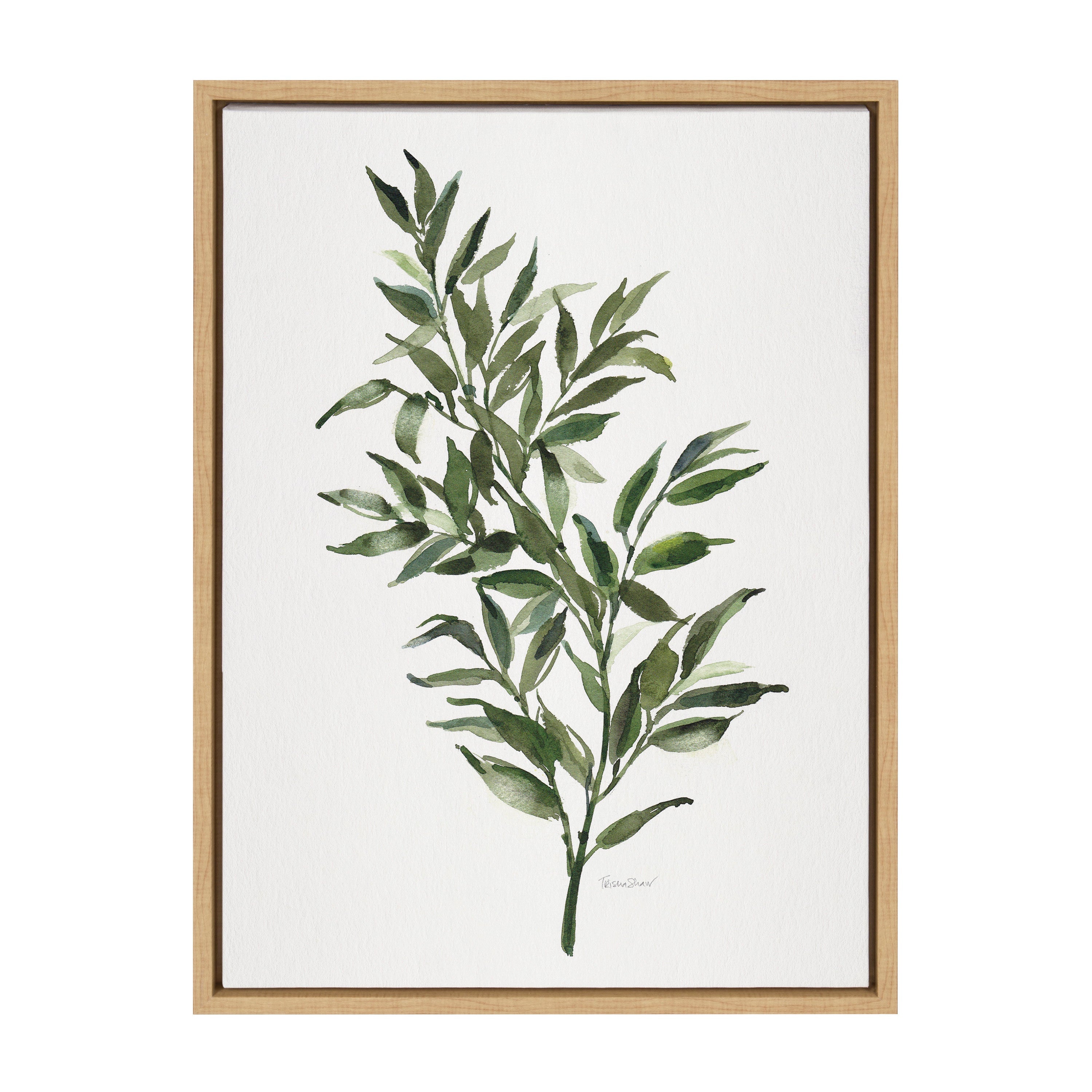 Sylvie Ruscus Framed Canvas by kateandlaurel - product image 2 for Resin Society