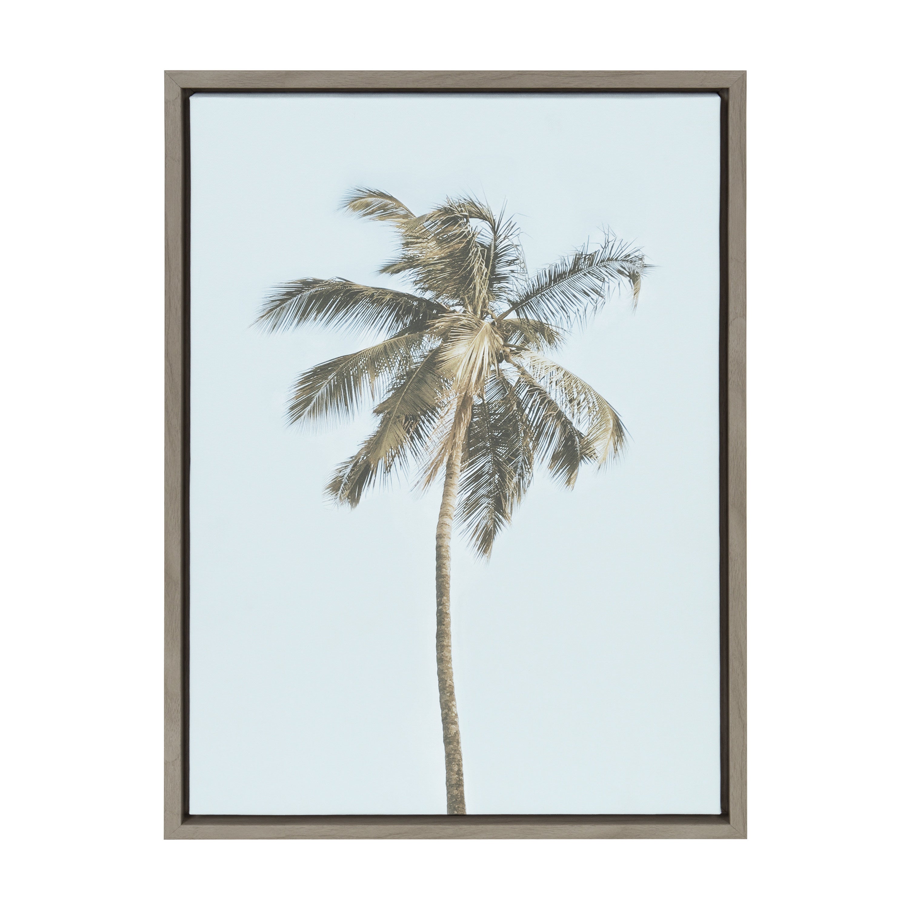 Sylvie One Coconut Palm Tree Framed Canvas by The Creative Bunch Studio by kateandlaurel - product image 10 for Resin Society