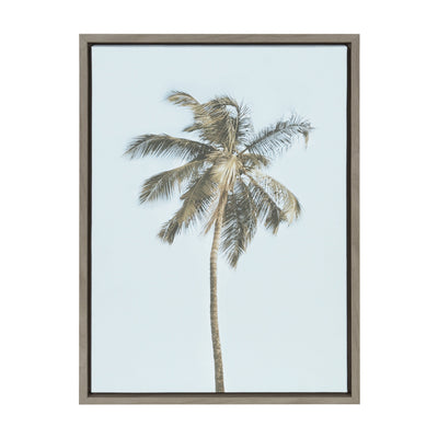 Sylvie One Coconut Palm Tree Framed Canvas by The Creative Bunch Studio by kateandlaurel - product image 10 for Resin Society