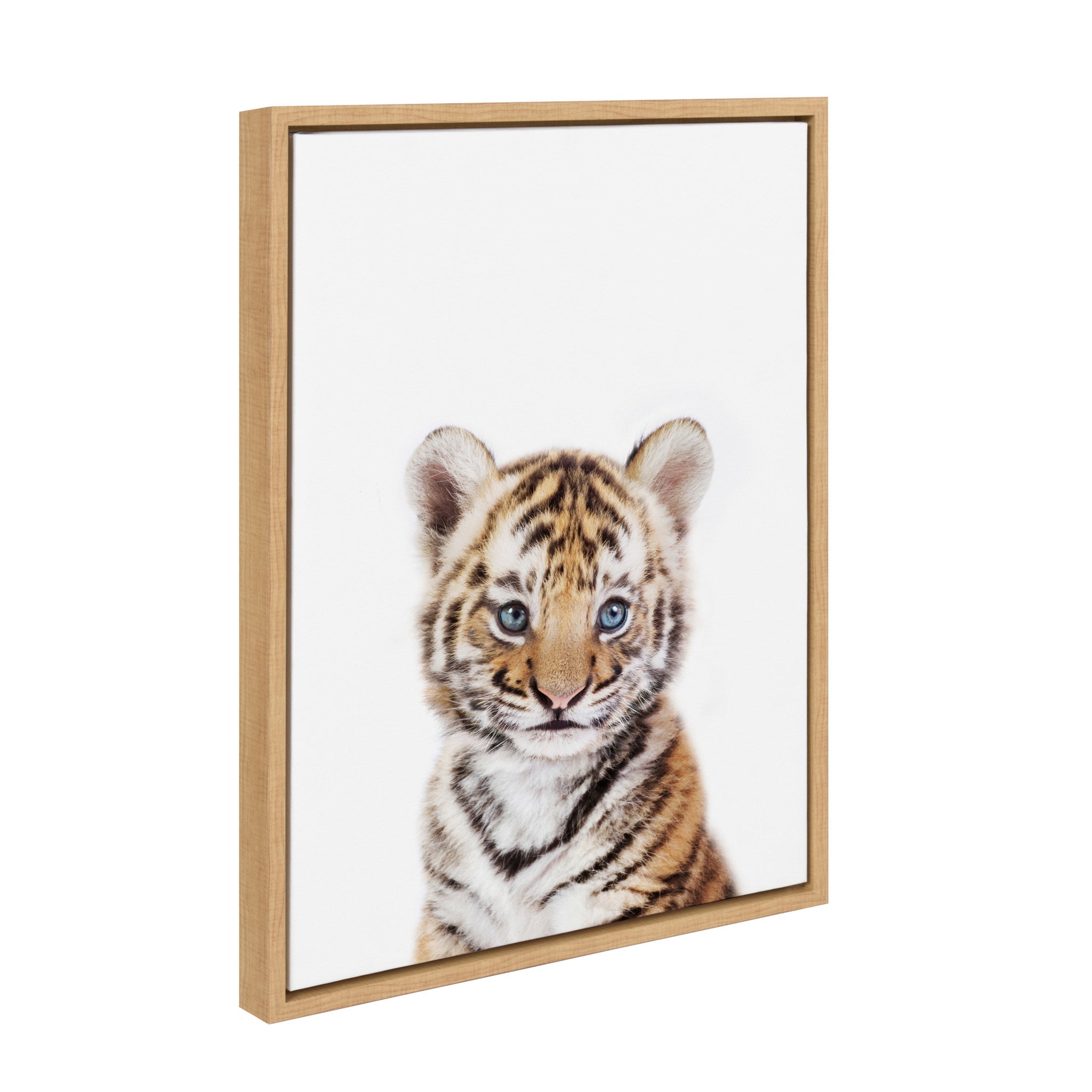 Sylvie Baby Tiger Framed Canvas by Amy Peterson by kateandlaurel - main product image for Resin Society