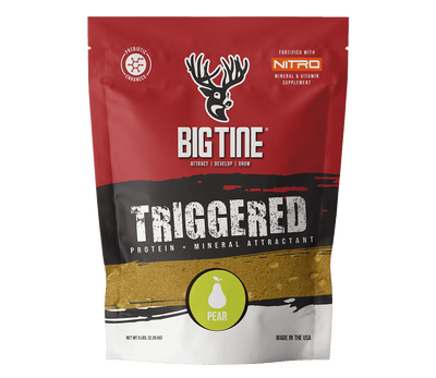 BIG TINE TRIGGERED PEAR