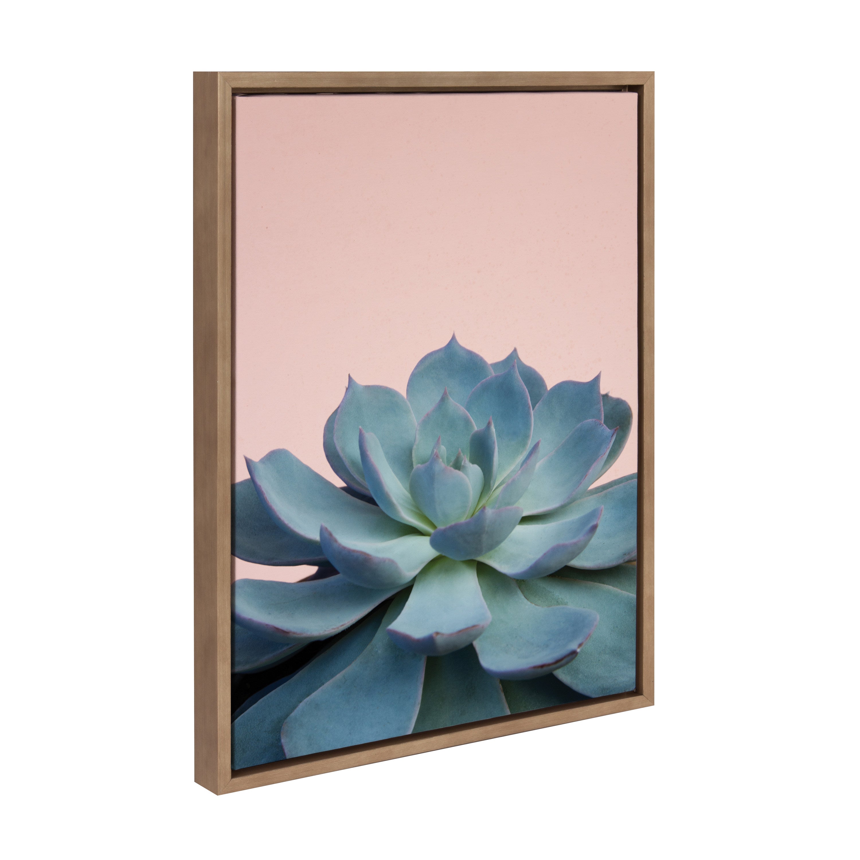 Sylvie Succulent 10 Framed Canvas by kateandlaurel - product image 2 for Resin Society