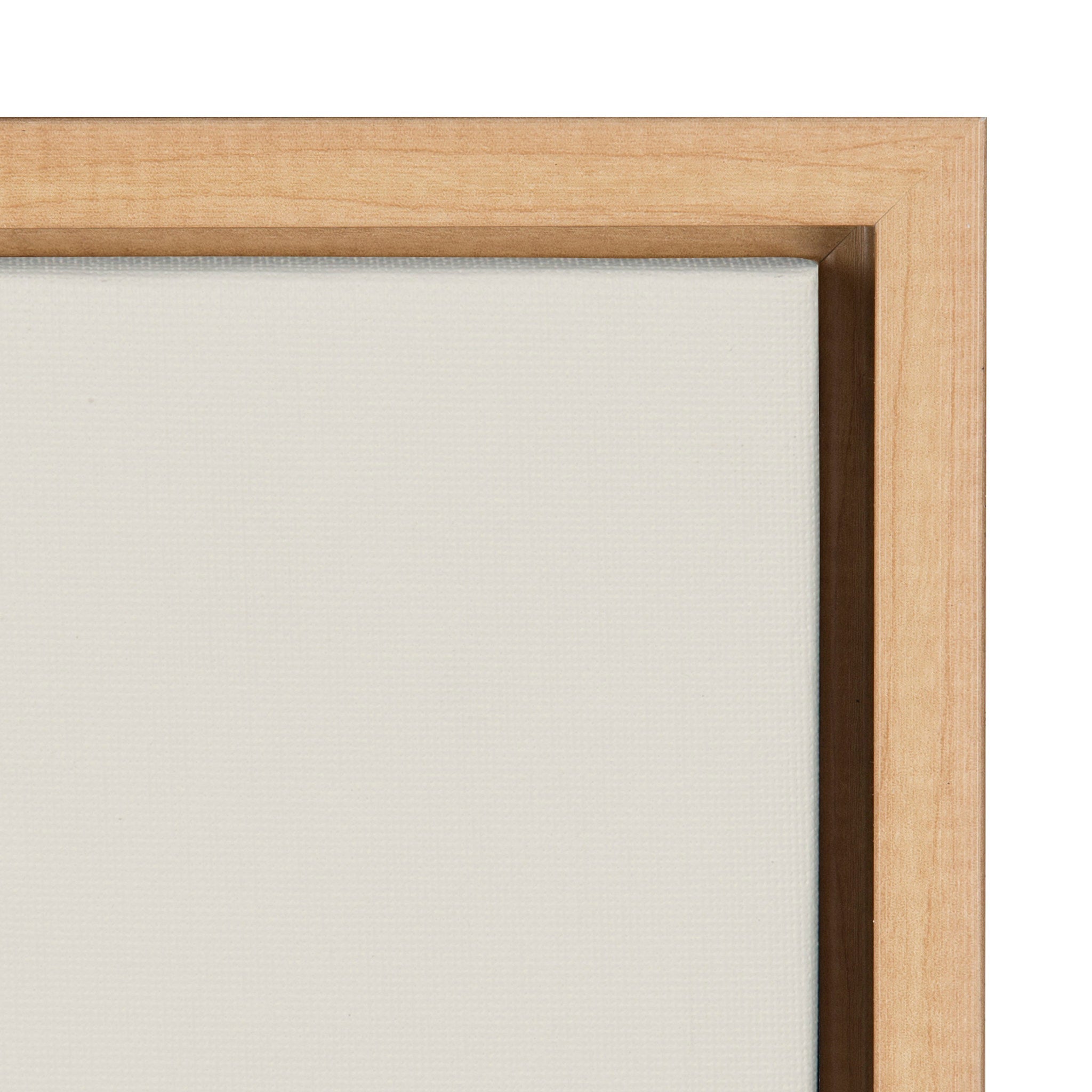 Sylvie Mid Century Modern Rhino Framed Canvas by kateandlaurel - product image 3 for Resin Society