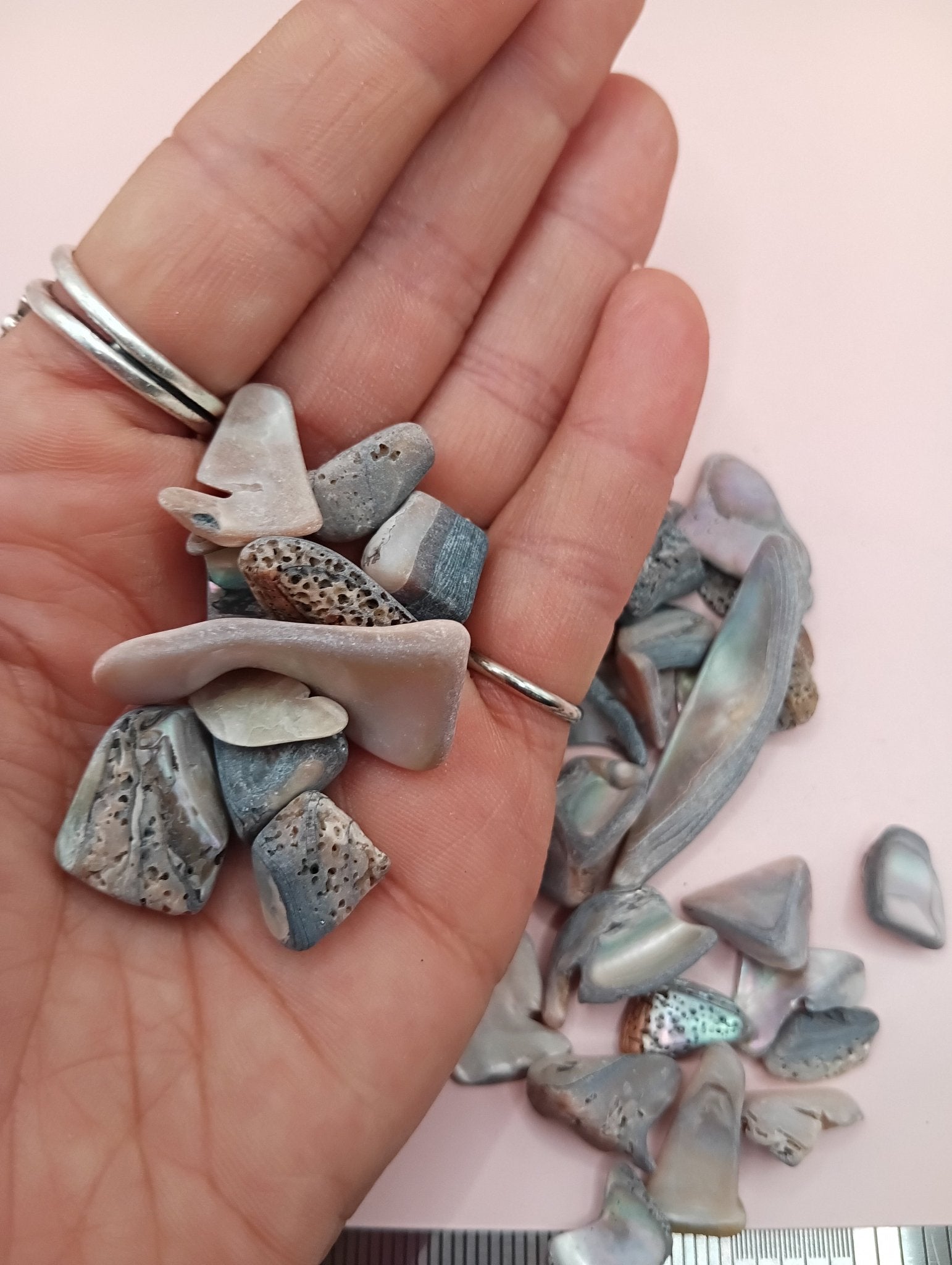 Polished tumbled abalone shell pieces showing iridescent colors in pink, blue, and brown tones