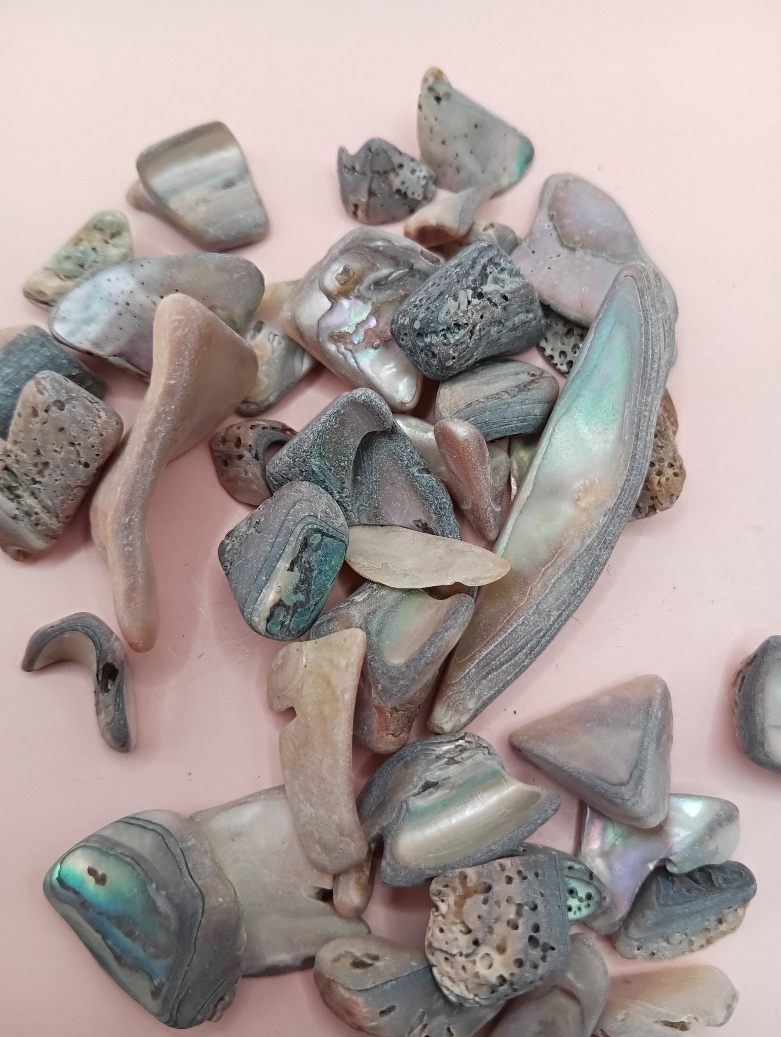Polished tumbled abalone shell pieces showing iridescent colors in pink, blue, and brown tones