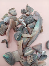 Polished tumbled abalone shell pieces showing iridescent colors in pink, blue, and brown tones
