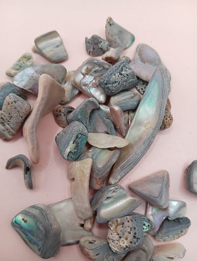 Polished tumbled abalone shell pieces showing iridescent colors in pink, blue, and brown tones