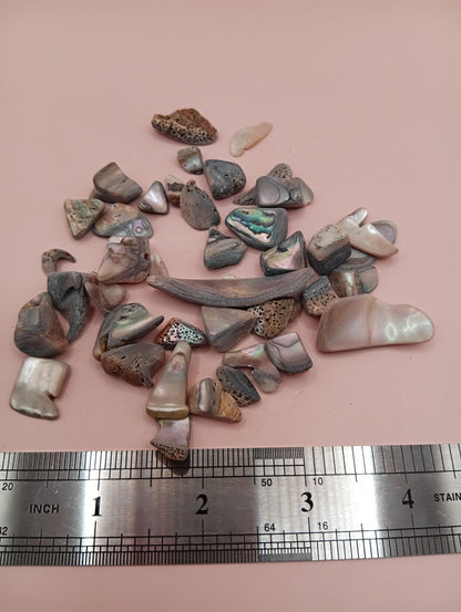 Polished tumbled abalone shell pieces showing iridescent colors in pink, blue, and brown tones