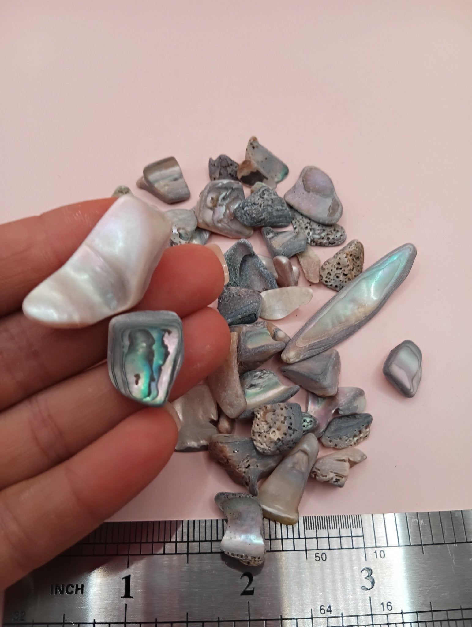 Polished tumbled abalone shell pieces showing iridescent colors in pink, blue, and brown tones