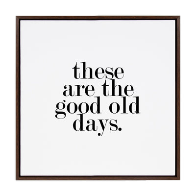 Sylvie Good Old Days Framed Canvas by kateandlaurel - product image 2 for Resin Society