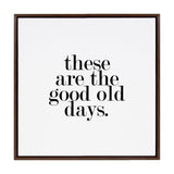 Sylvie Good Old Days Framed Canvas by kateandlaurel - product image 9 for Resin Society