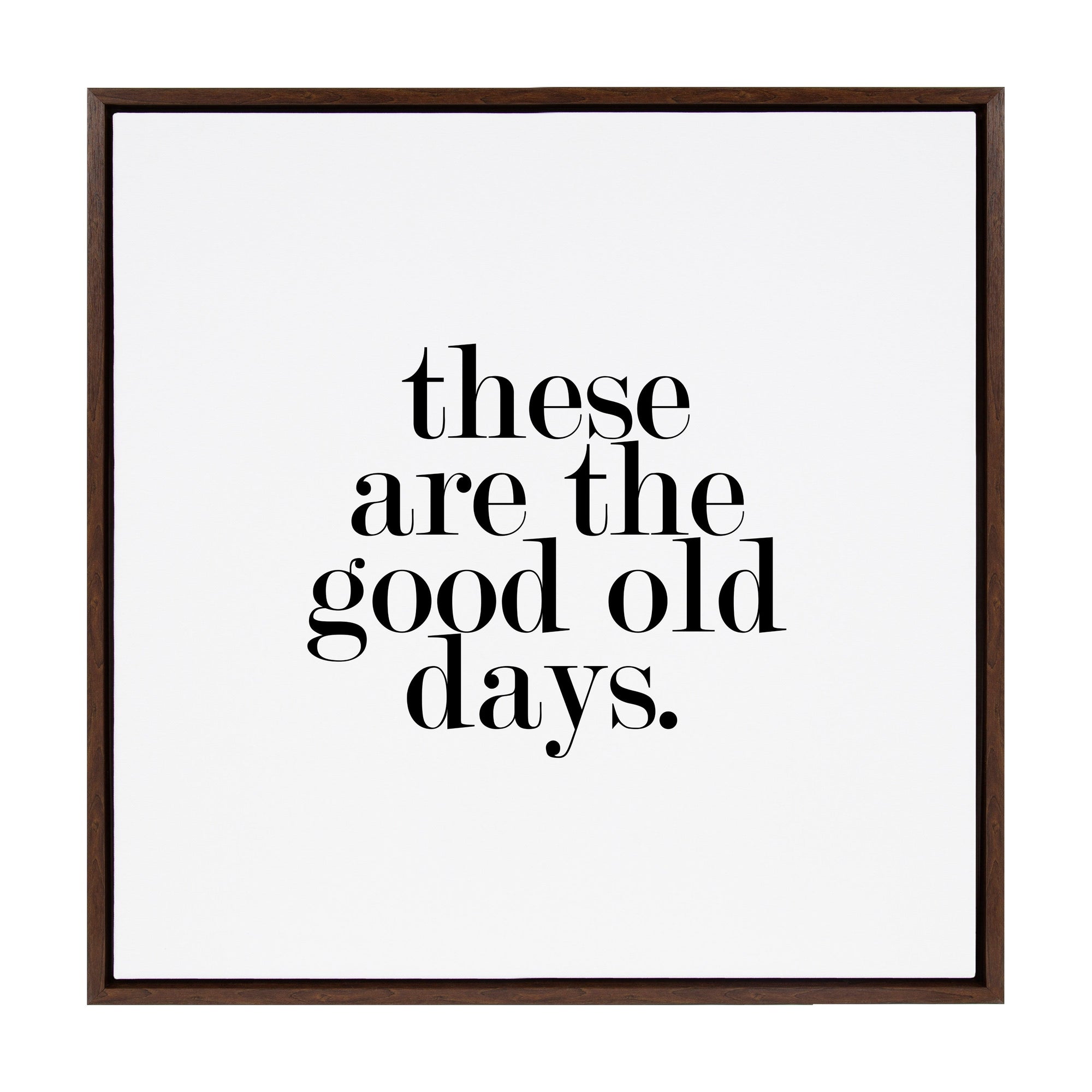 Sylvie Good Old Days Framed Canvas by kateandlaurel - product image 9 for Resin Society