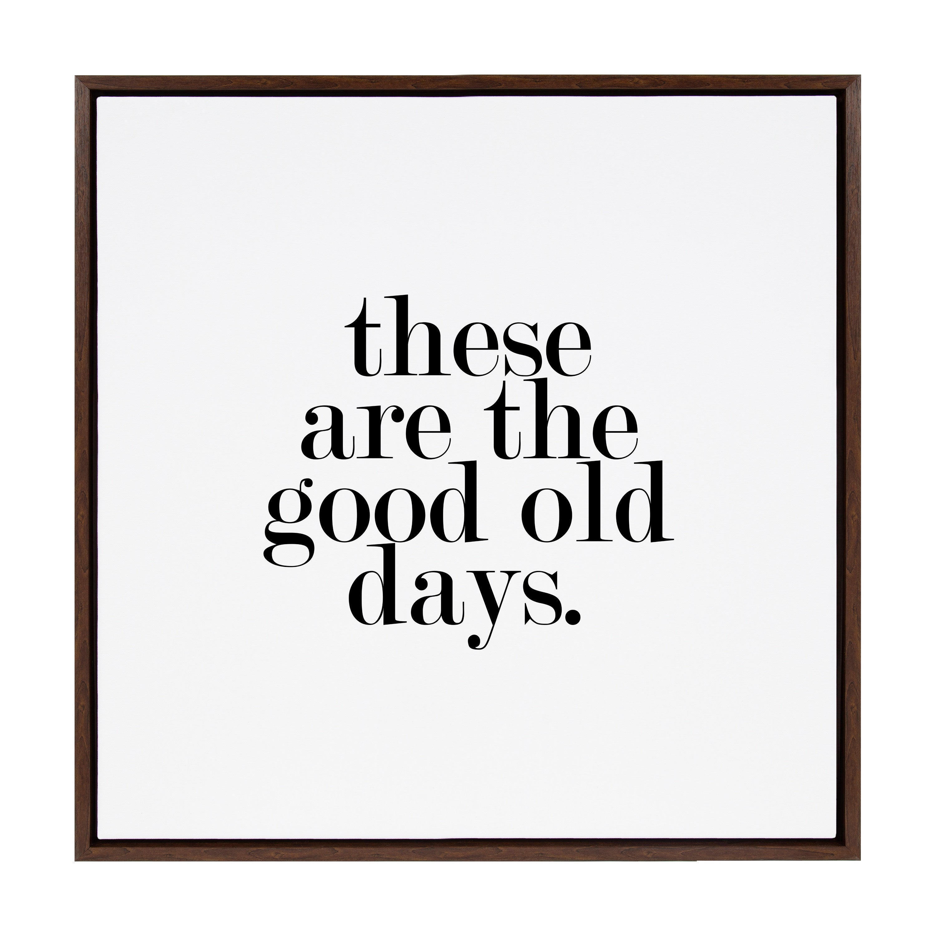 Sylvie Good Old Days Framed Canvas by kateandlaurel - product image 9 for Resin Society