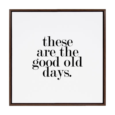 Sylvie Good Old Days Framed Canvas by kateandlaurel - product image 9 for Resin Society