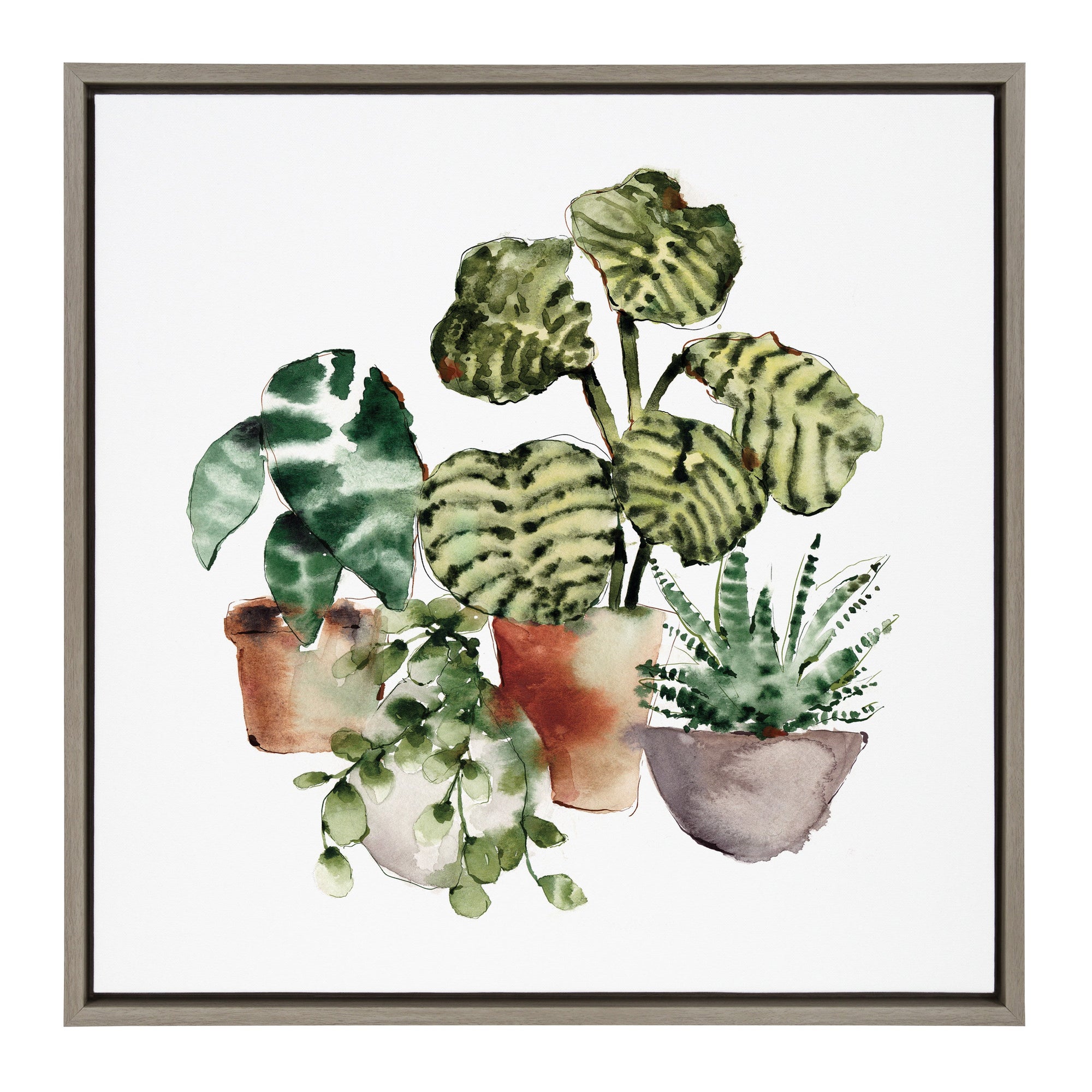 Sylvie Houseplants Framed Canvas by kateandlaurel - product image 9 for Resin Society