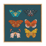 Sylvie Free Wings Framed Canvas by kateandlaurel - main product image for Resin Society