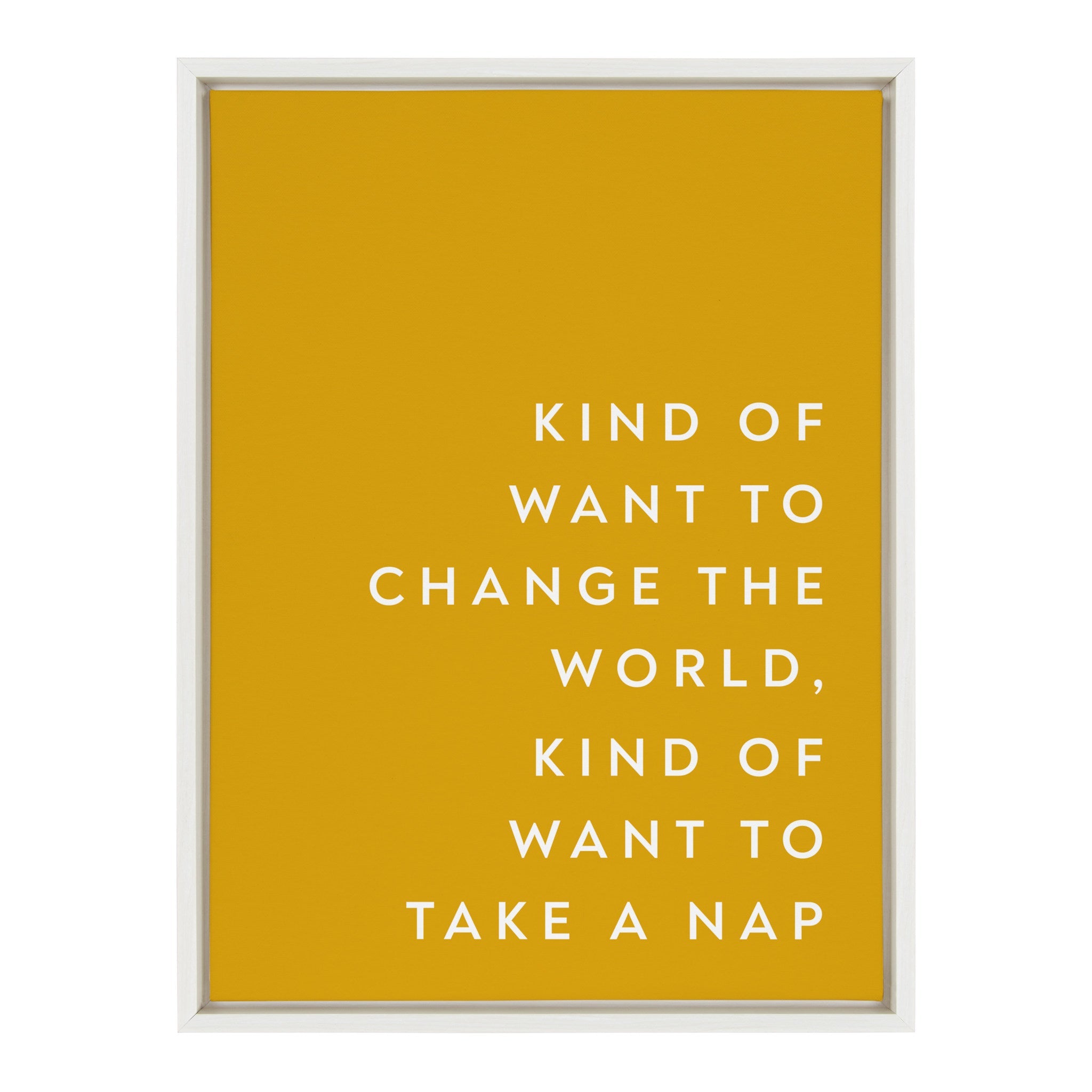 Sylvie Change the World Nap Framed Canvas by kateandlaurel - main product image for Resin Society