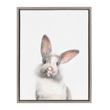Sylvie Animal Studio Cute Male Rabbit Framed Canvas by kateandlaurel - main product image for Resin Society