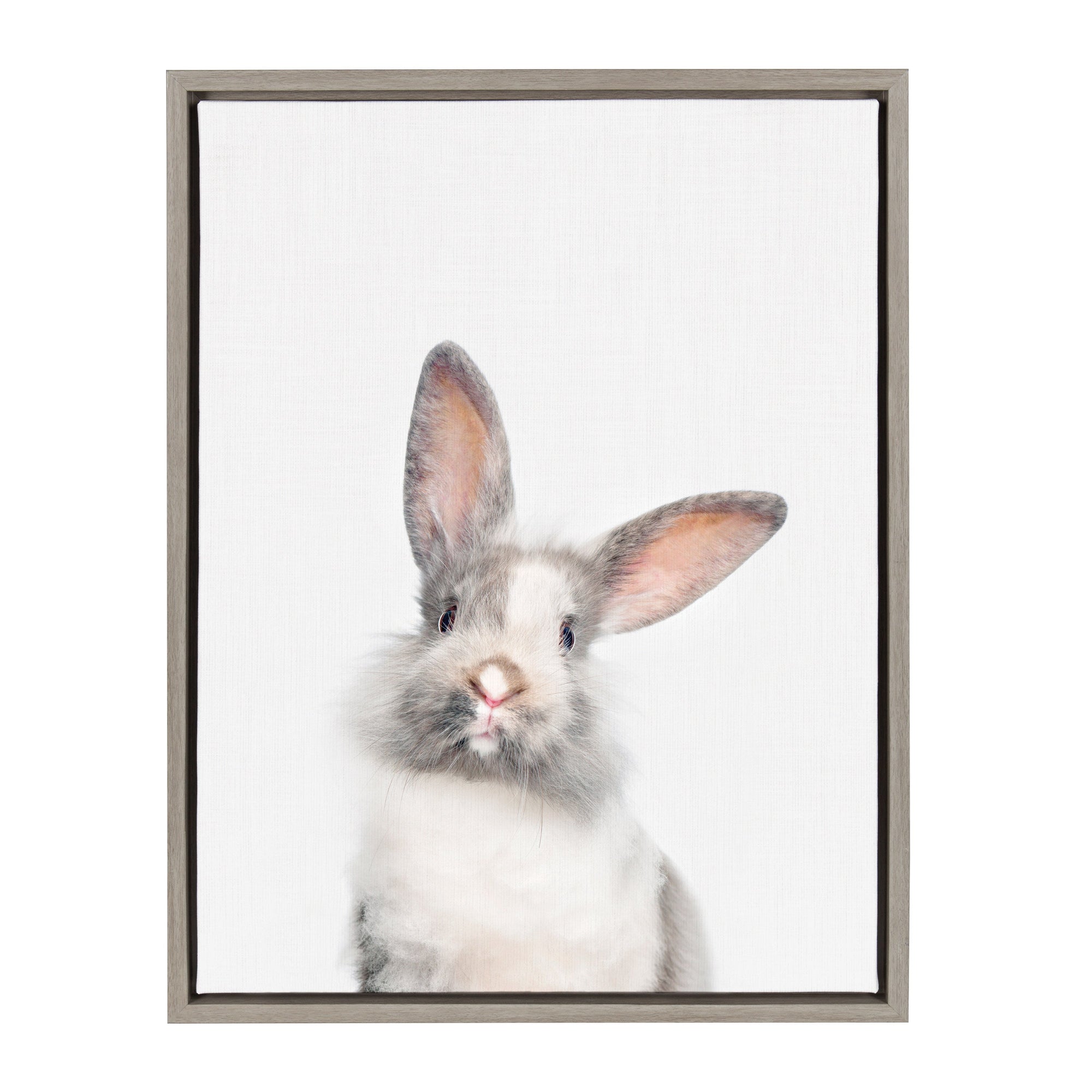 Sylvie Animal Studio Cute Male Rabbit Framed Canvas by kateandlaurel - product image 9 for Resin Society