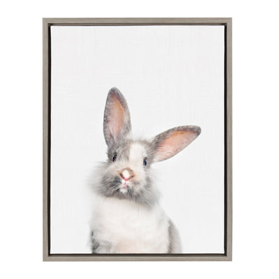 Sylvie Animal Studio Cute Male Rabbit Framed Canvas by kateandlaurel - product image 9 for Resin Society