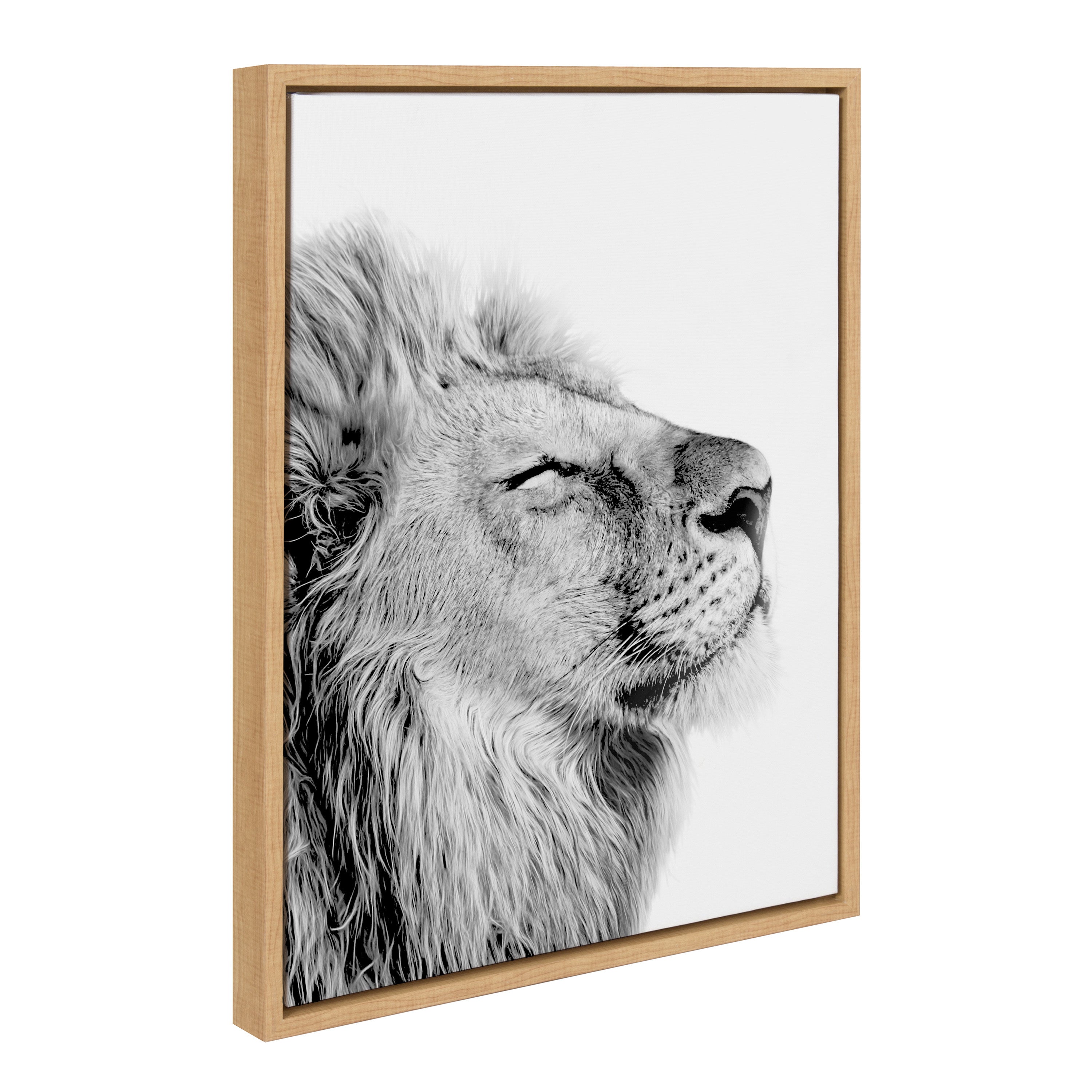 Sylvie Lion Self Actualizing Framed Canvas by kateandlaurel - product image 11 for Resin Society