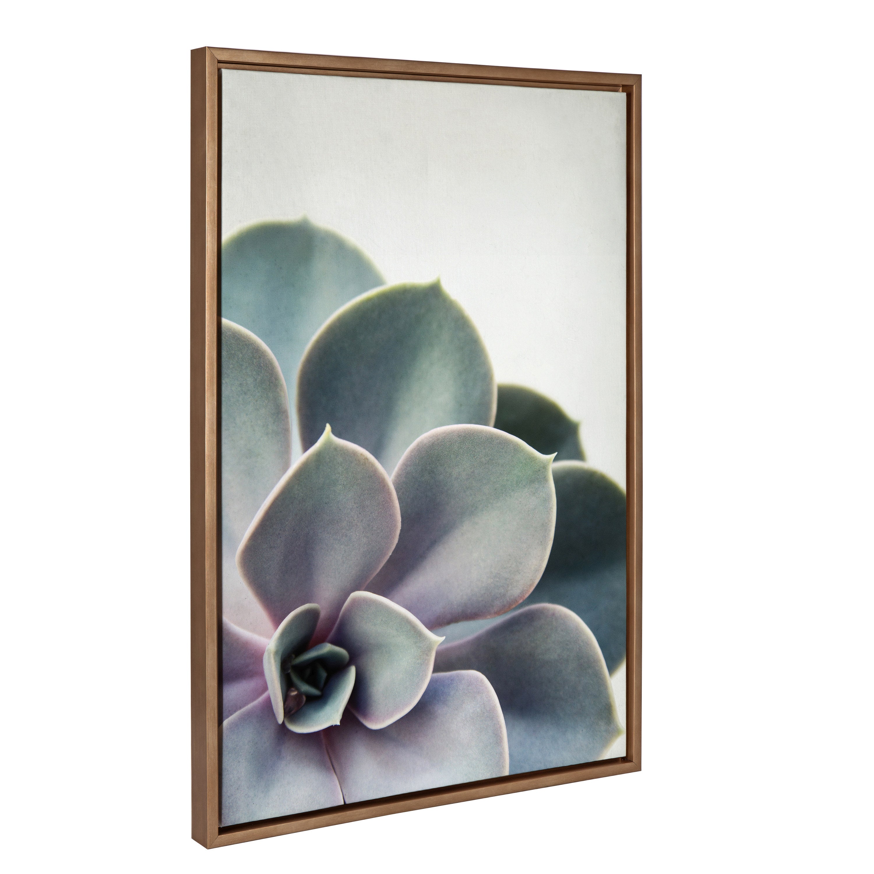 Sylvie Succulent 5 Framed Canvas by F2 Images