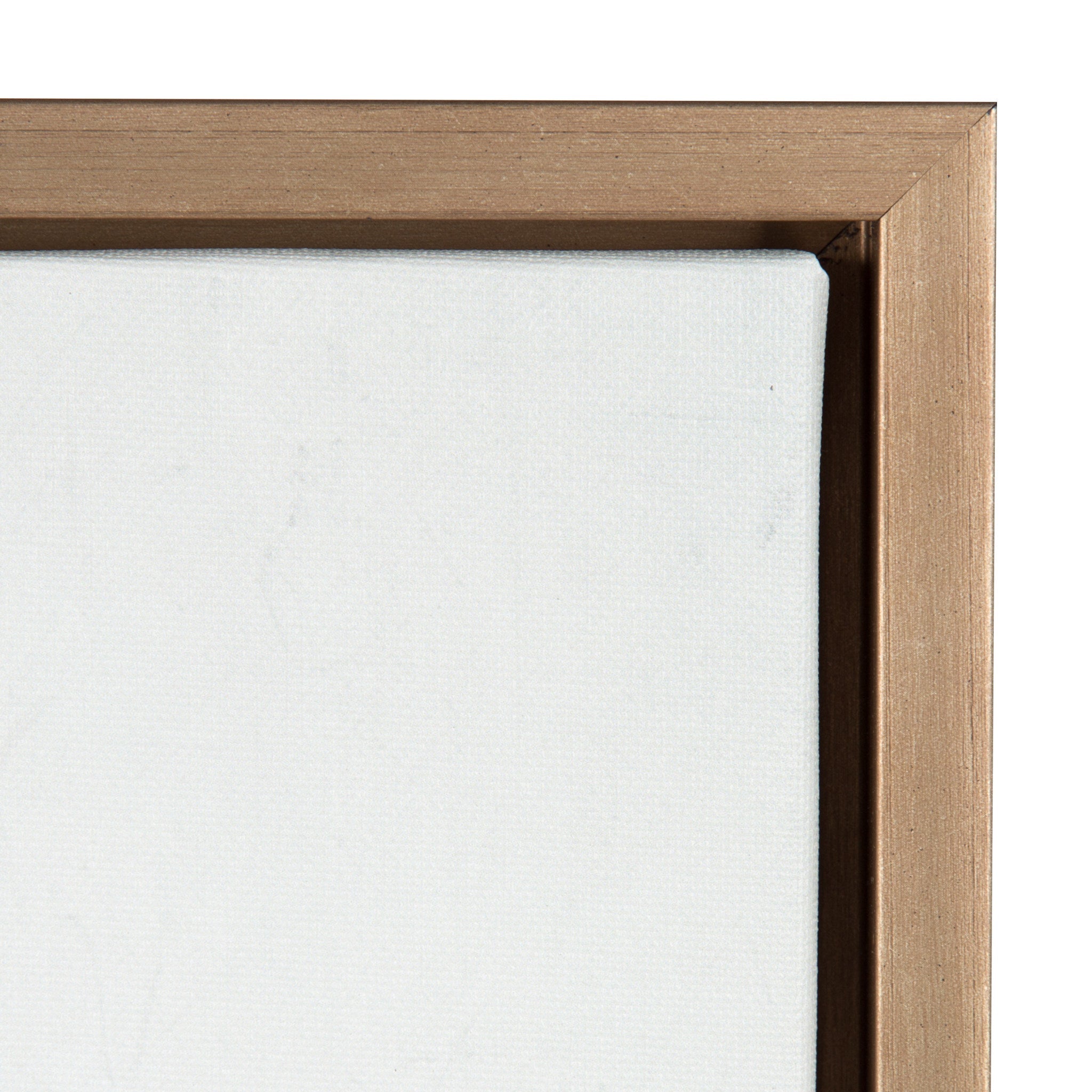 Sylvie Cactus Framed Canvas by kateandlaurel - product image 3 for Resin Society