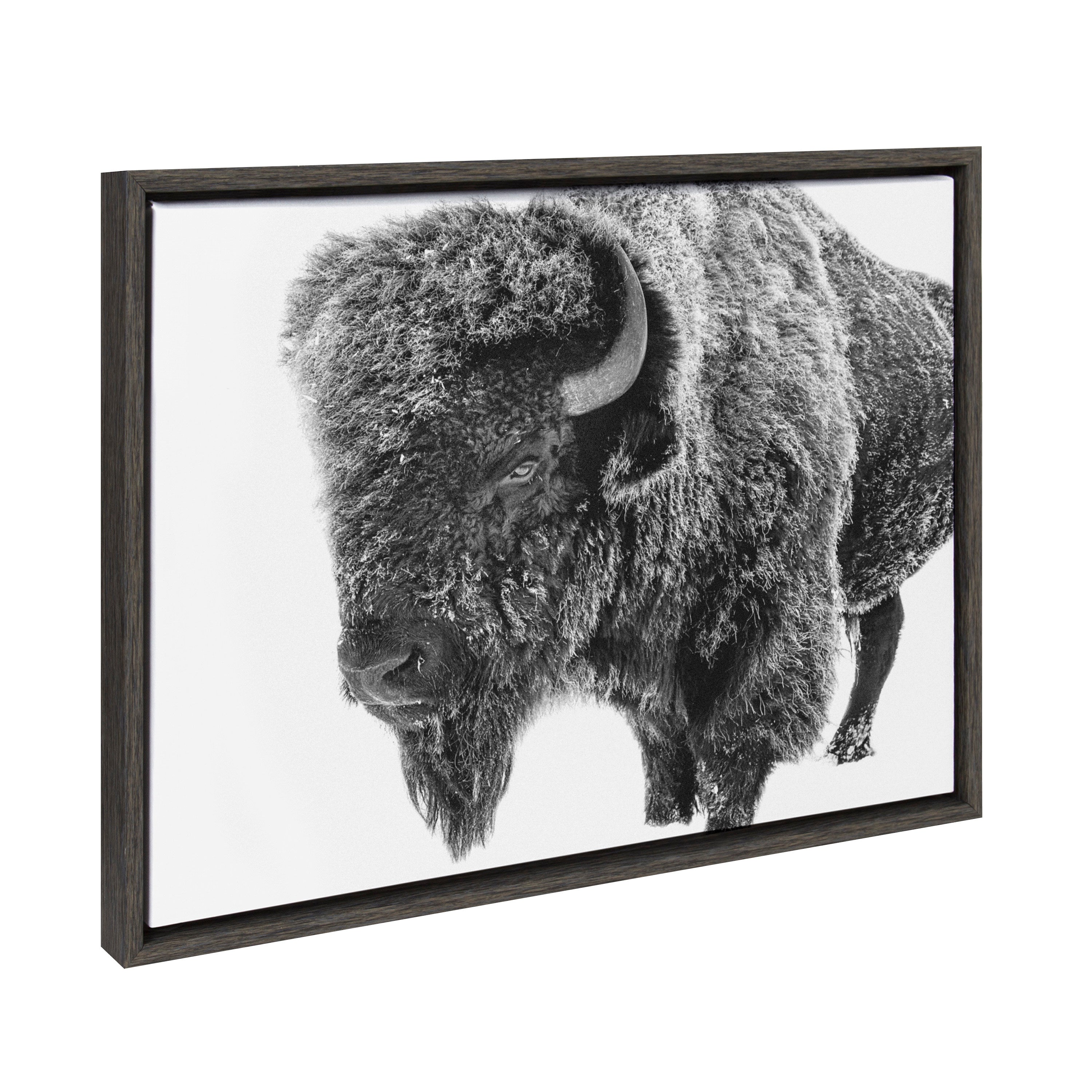 Sylvie Bison in Snow Black and White Framed Canvas by Amy Peterson Art Studio
