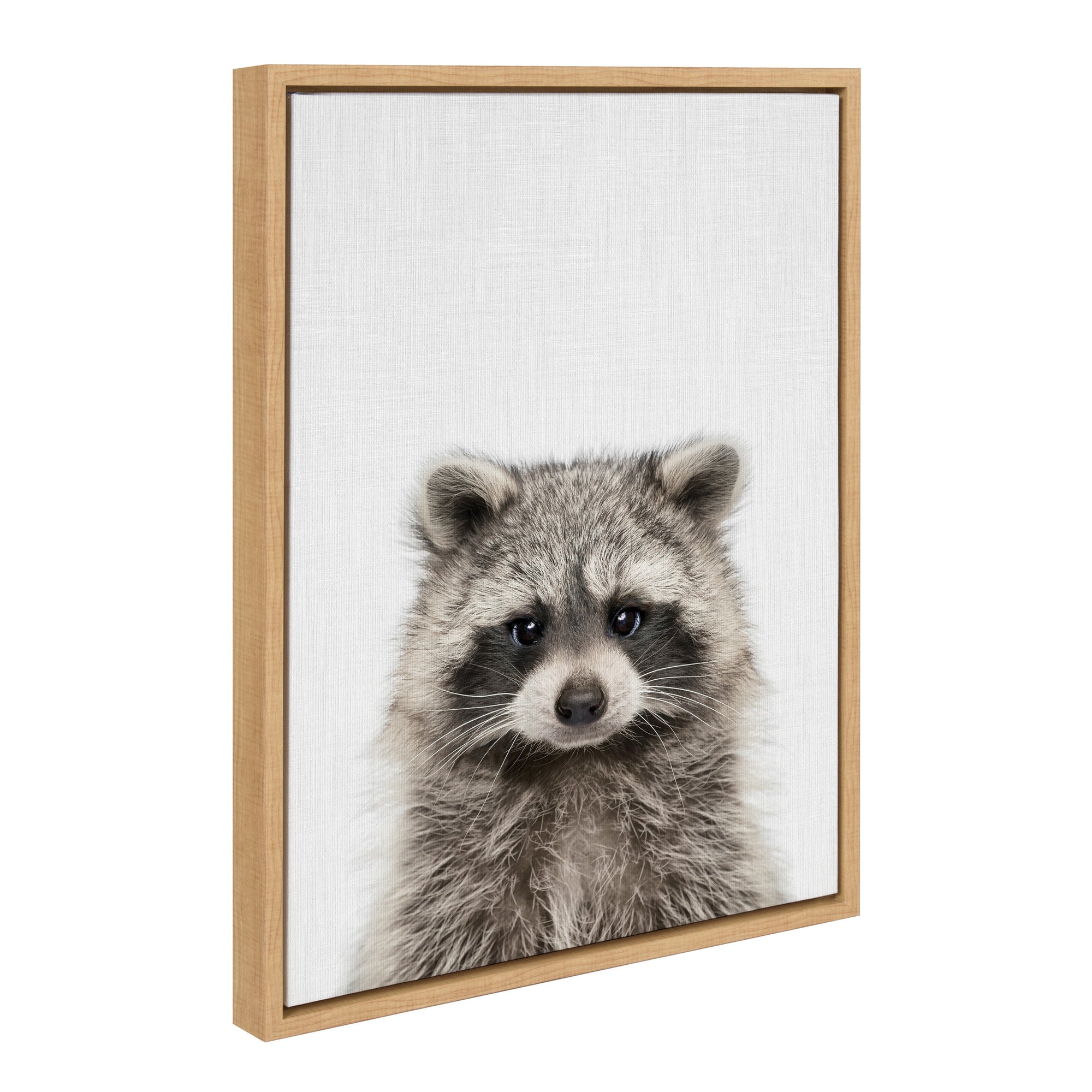 Sylvie Raccoon Color Framed Canvas by kateandlaurel - main product image for Resin Society
