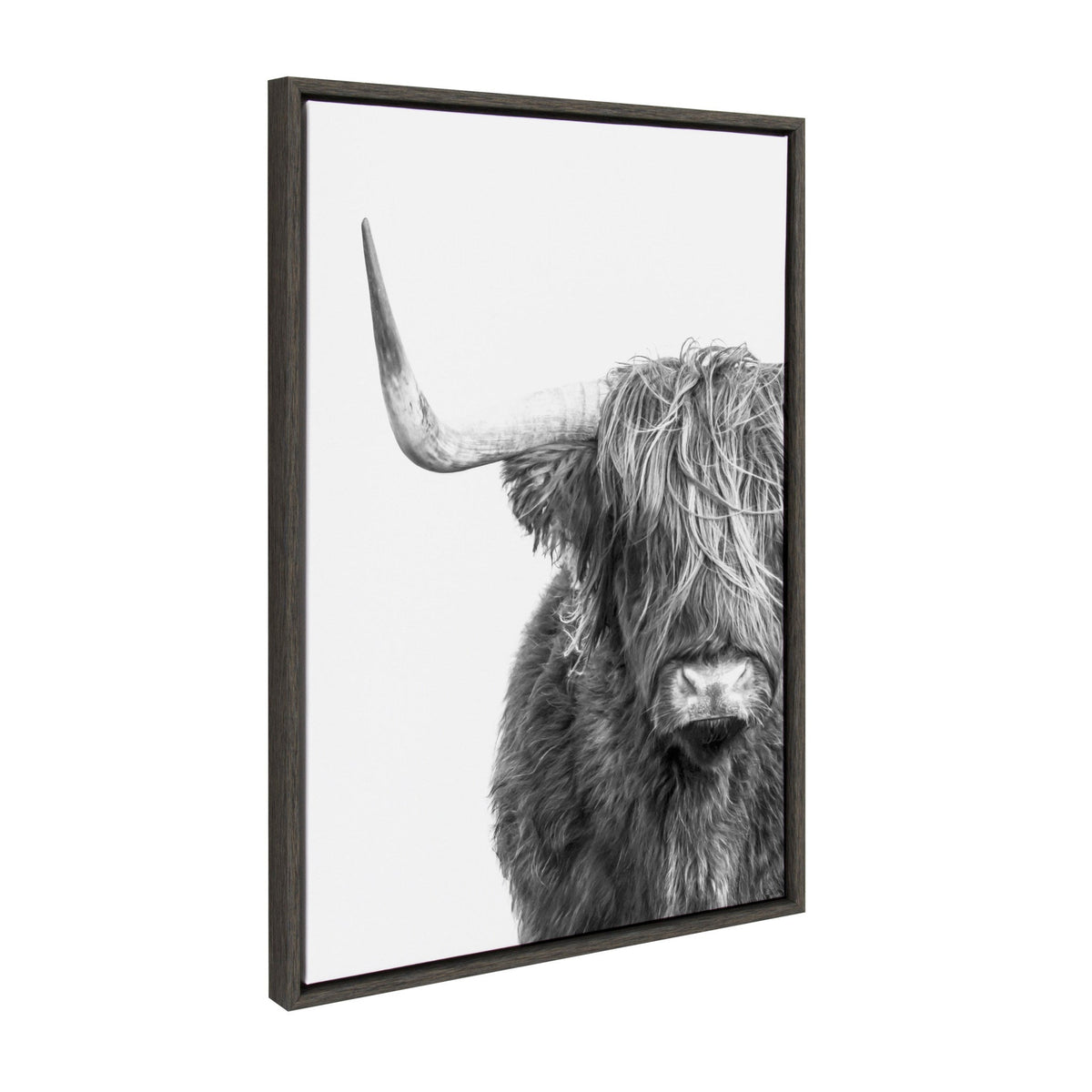 Sylvie Highland Cow Framed Canvas by kateandlaurel - product image 2 for Resin Society