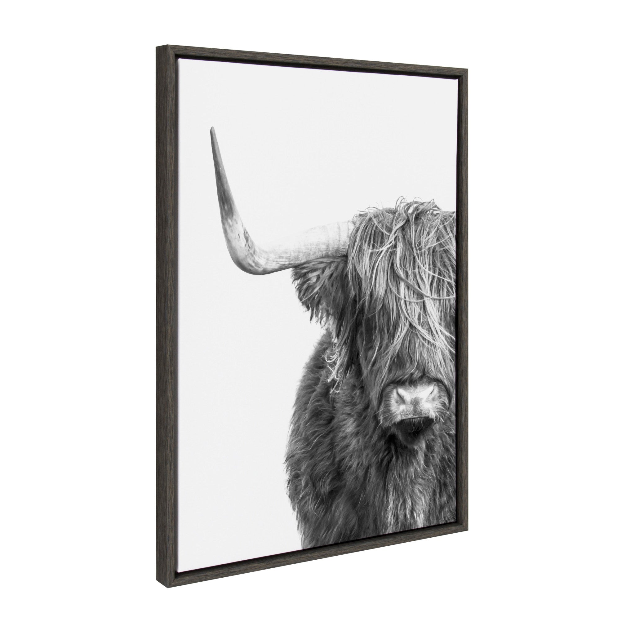 Sylvie Highland Cow Framed Canvas by kateandlaurel - product image 2 for Resin Society