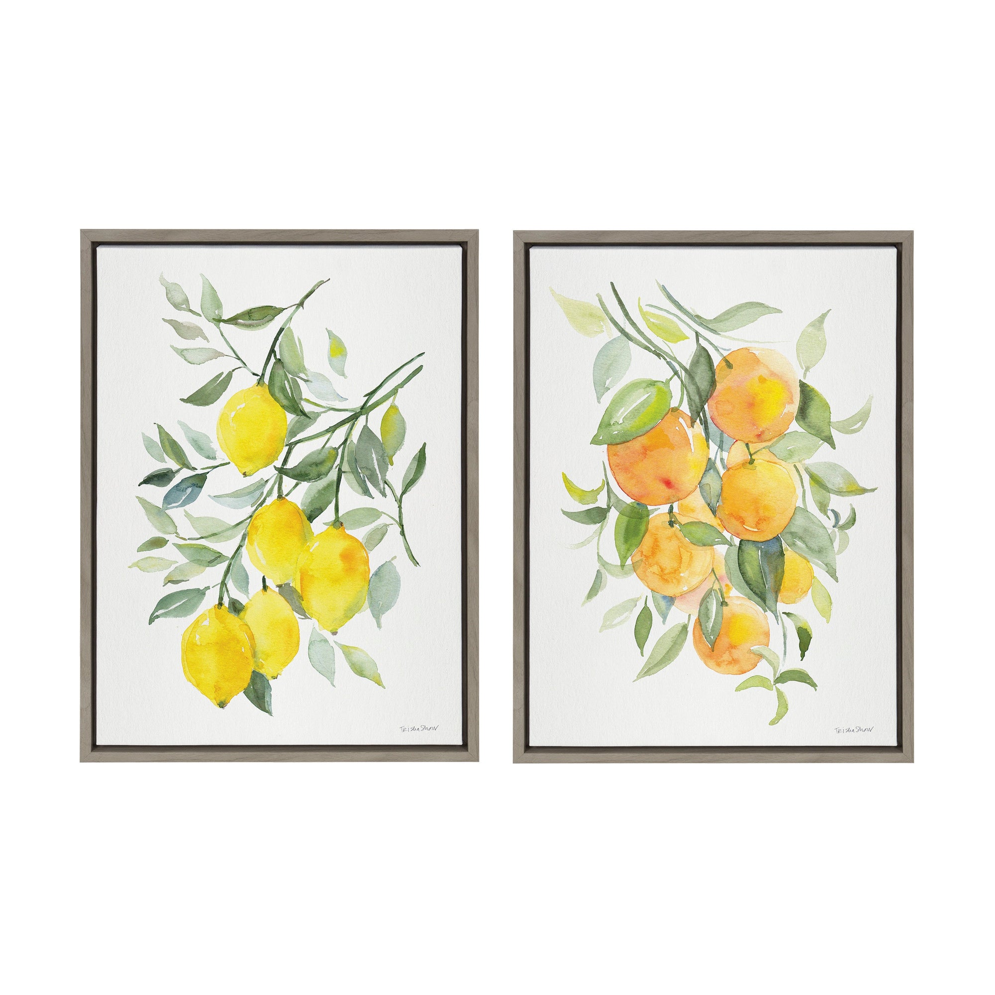 Sylvie Orange Citrus and Lemon Citrus Framed Canvas Art Set by Patricia Shaw