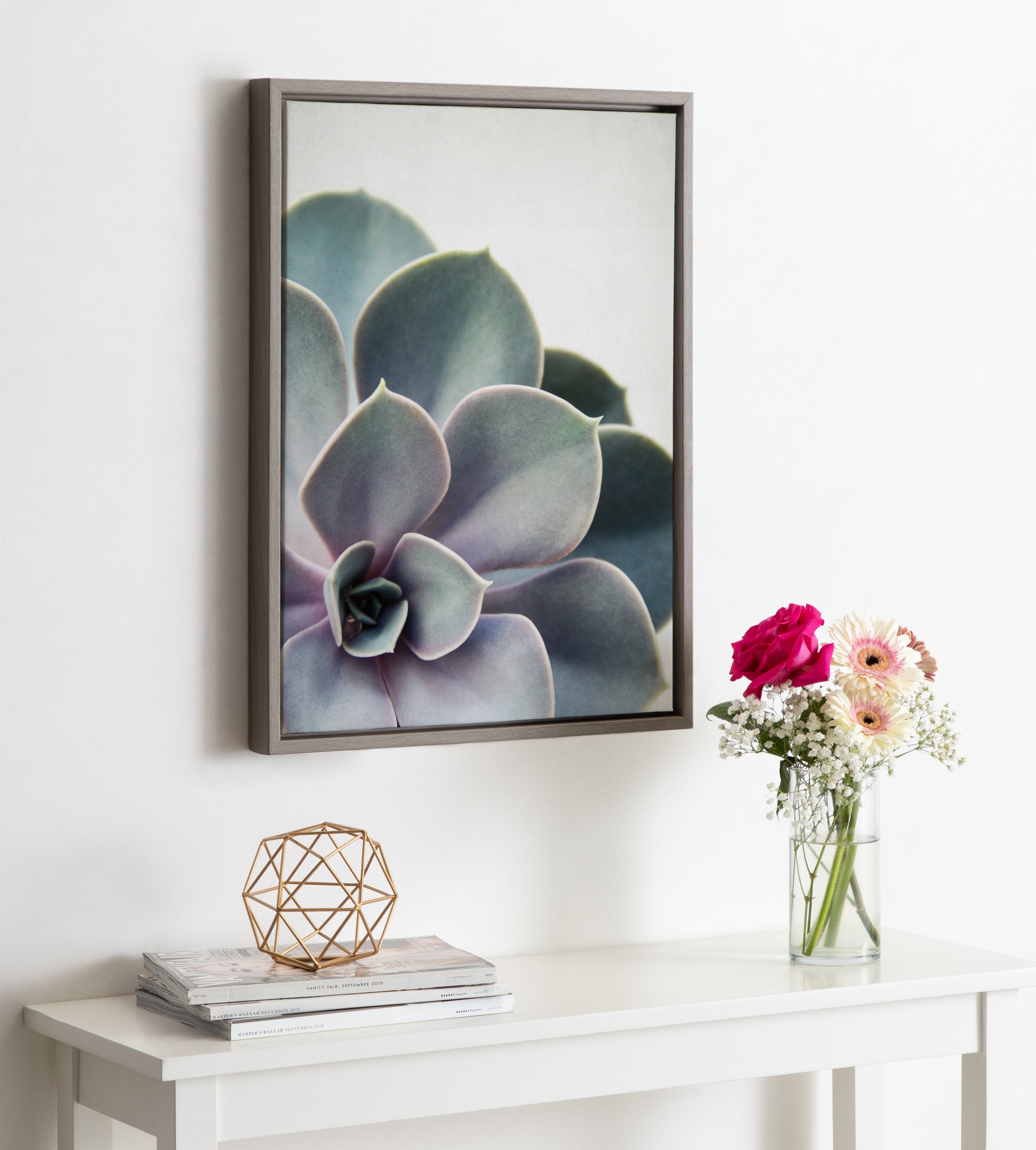 Sylvie Succulent 5 Framed Canvas by F2 Images by kateandlaurel - product image 4 for Resin Society