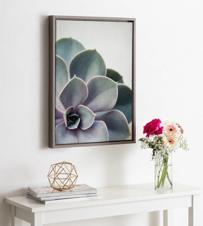 Sylvie Succulent 5 Framed Canvas by F2 Images by kateandlaurel - product image 4 for Resin Society