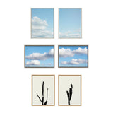Sylvie Black and White Vintage Film Grain Cactus 1 and 2 Framed Canvas by kateandlaurel - product image 4 for Resin Society