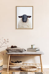 Framed portrait of a white sheep with a black face centered on a light wall above a wooden bench holding folded blankets, books, and a cup, with wicker baskets below.