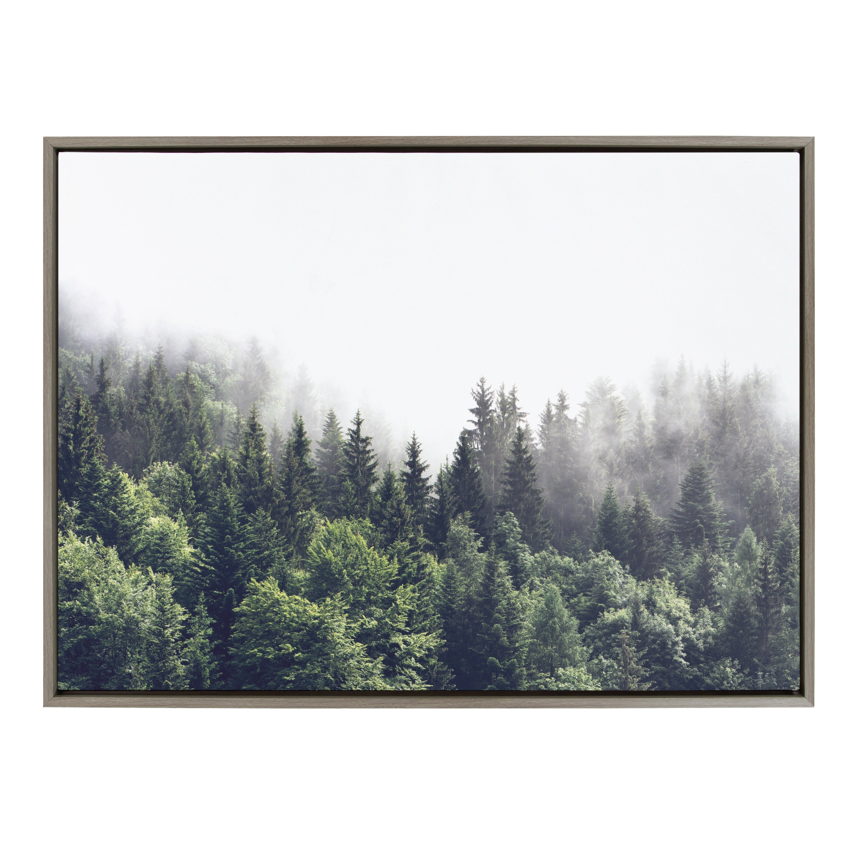 Sylvie Lush Green Forest On A Foggy Day Framed Canvas