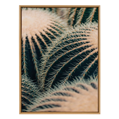 Sylvie Barrel Cactus Framed Canvas by Alicia Bock