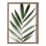 Blake Botanical 5F Framed Printed Glass by Amy Peterson by kateandlaurel - product image 2 for Resin Society