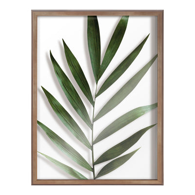 Blake Botanical 5F Framed Printed Glass by Amy Peterson by kateandlaurel - product image 2 for Resin Society