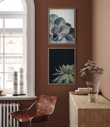 Sylvie Succulent 5 and Succulent 8 Framed Canvas by kateandlaurel - product image 6 for Resin Society
