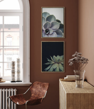 Sylvie Succulent 5 and Succulent 8 Framed Canvas by kateandlaurel - product image 6 for Resin Society