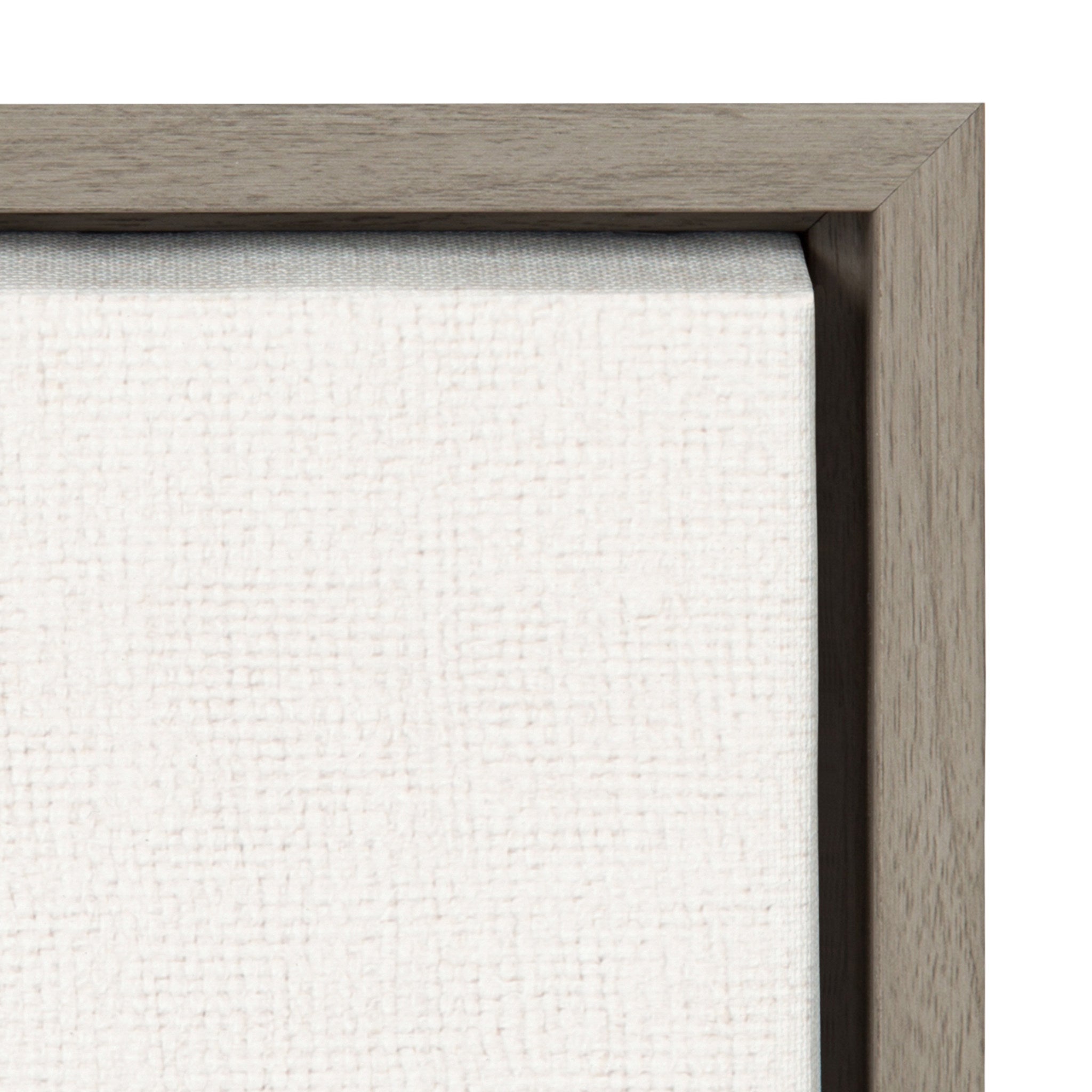 Sylvie Hedgehog Balloons Framed Canvas By Amy Peterson by kateandlaurel - product image 3 for Resin Society