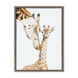 Portrait of a mother giraffe gently nuzzling her baby against a white background, framed in a simple dark border.
