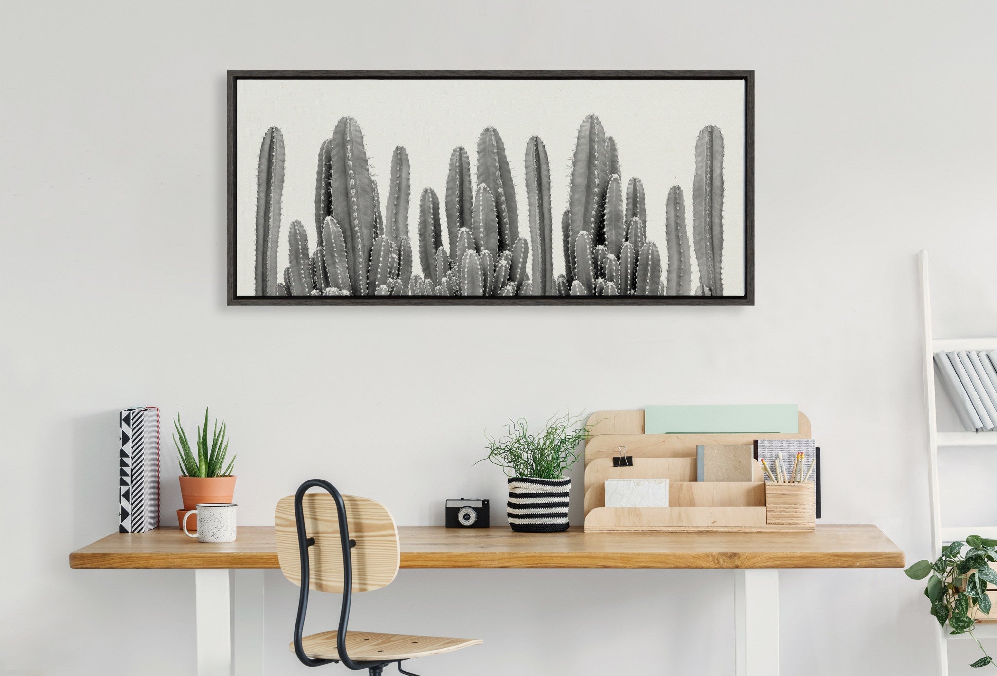 Sylvie Looking Sharp Cactus Garden Framed Canvas by The Creative Bunch by kateandlaurel - product image 5 for Resin Society