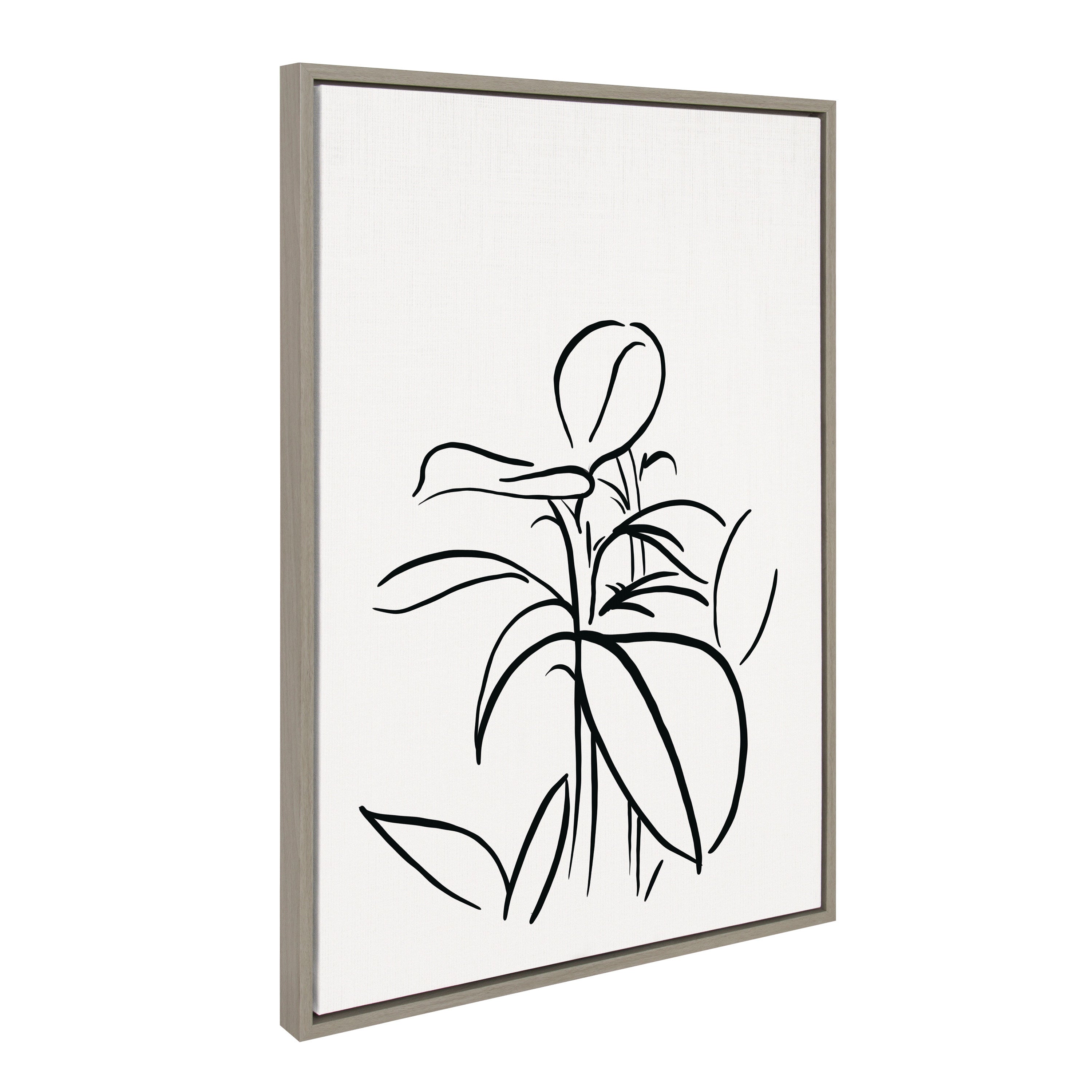 Sylvie Botanical Sketch Print No 1 Framed Canvas by The Creative Bunch by kateandlaurel - product image 20 for Resin Society