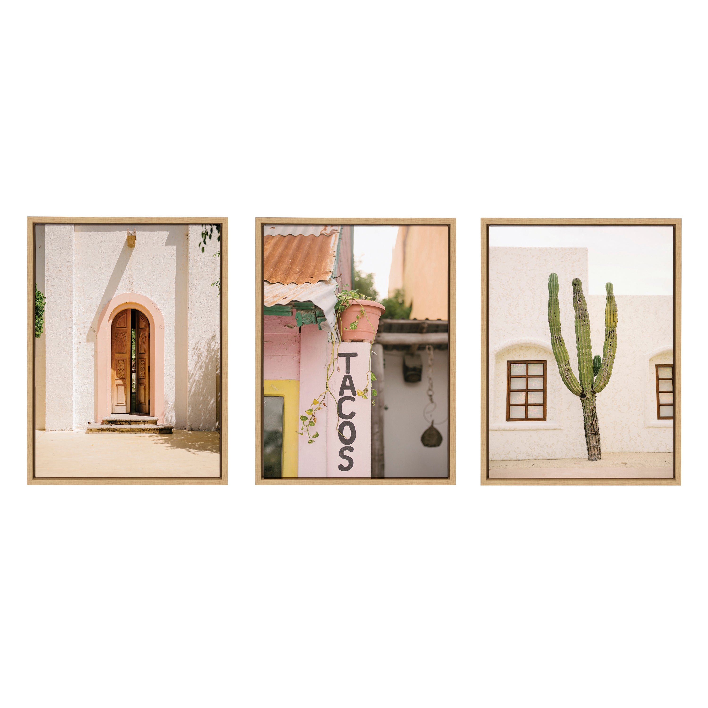 Sylvie Cabo San Lucas No 4, Isla Holbox No 3, Cactus no 2 Mexico Framed Canvas Art Set by Crystal Lynn Collins