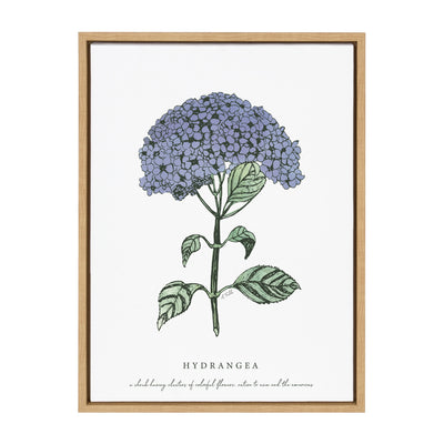 Sylvie Blooming Hydrangea Framed Canvas by kateandlaurel - product image 2 for Resin Society