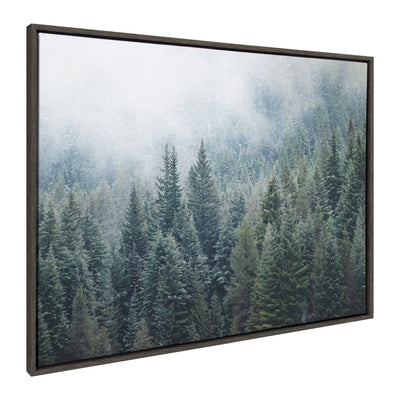 Sylvie Evergreen Dream 2 Framed Canvas by Emiko and Mark Franzen of F2Images