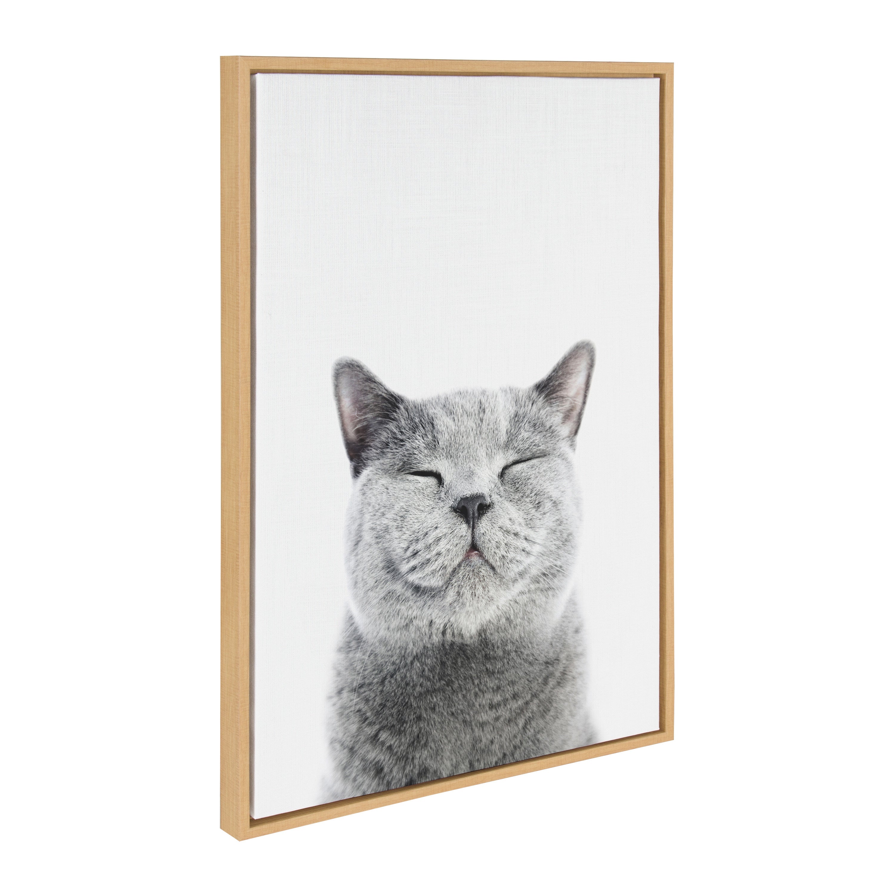 Sylvie Smiling Cat Framed Canvas by Amy Peterson Art Studio